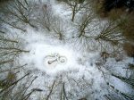 drone skovsnogen vinter